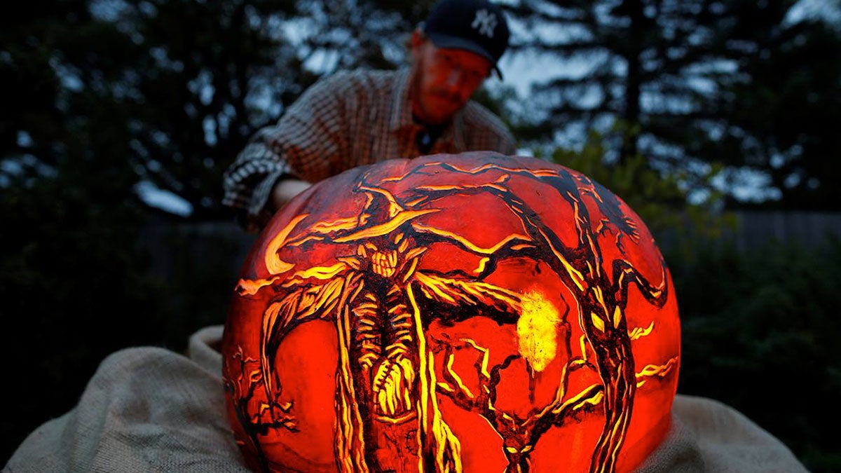 close up of pumpking being carved by man for Night of 1000 Jack o Lanterns at Chicago Botanic Garden in Chicago, Illinois, USA