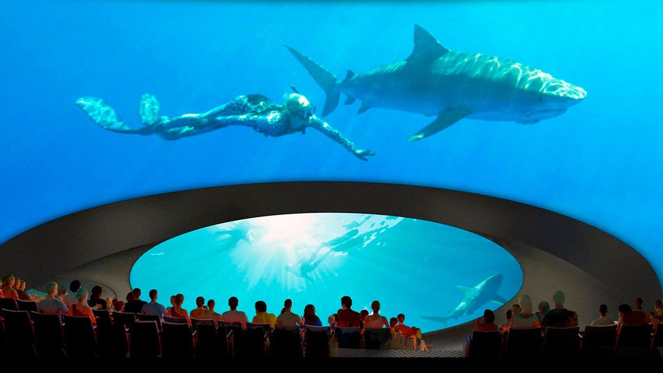 The people are watching the aquarium with the girl inside and the shark.