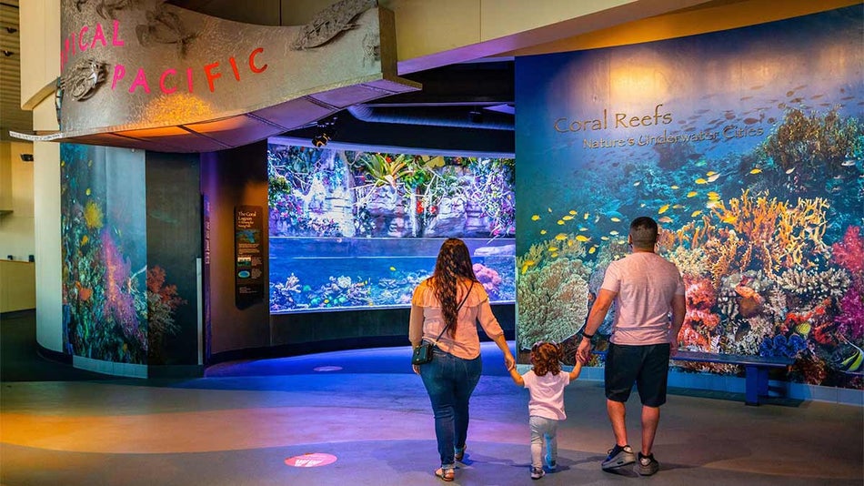 family holding hands walking towards entrance of Tropical Pacific Gallery in Aquarium of the Pacific, Los Angeles, California, USA