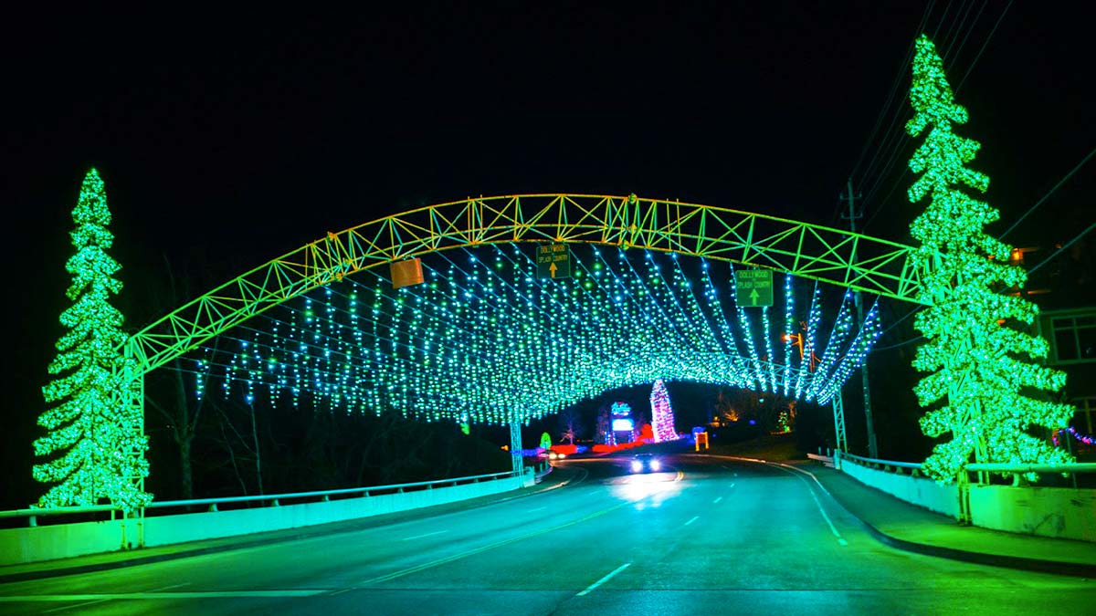 a wide image of a road with green Christmas lights and Christmas Tree on the opposite side.