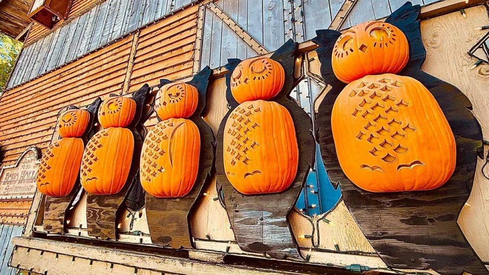 Silver Dollar City Harvest Festival 2024 Guide