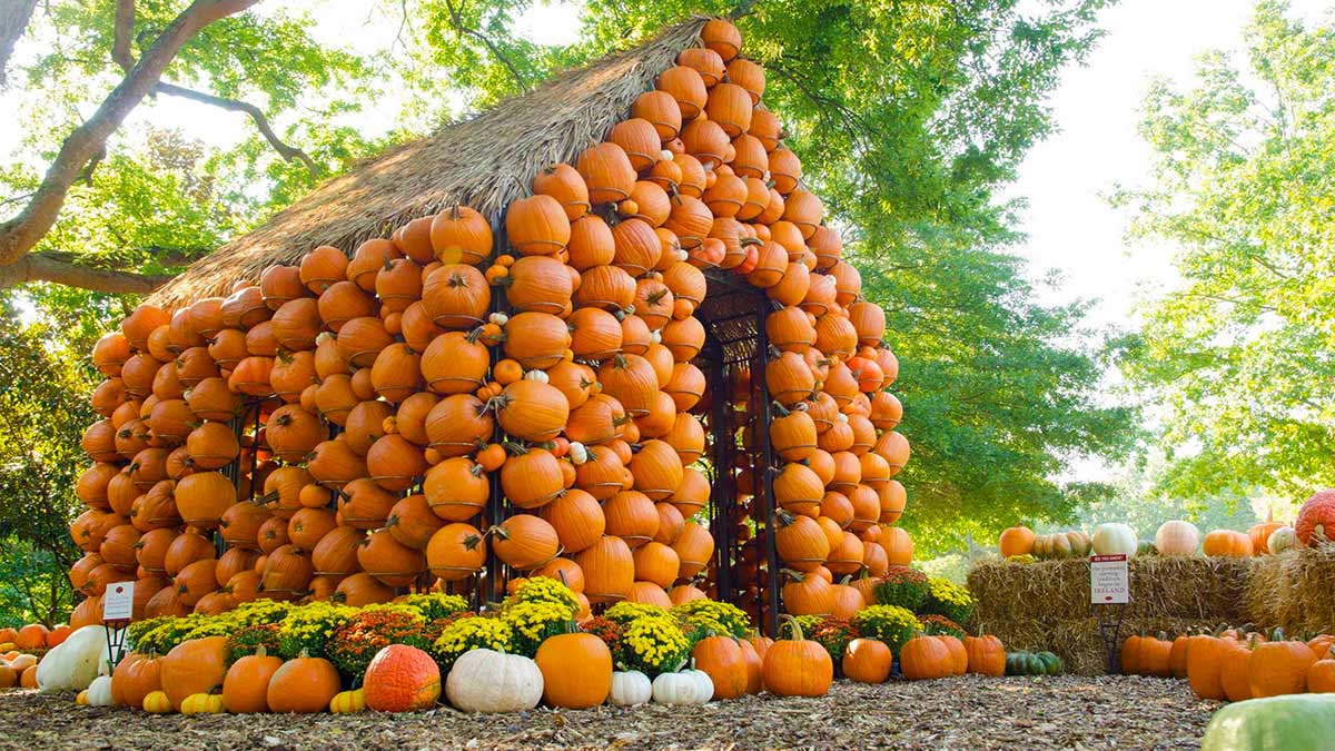 ground view of house covered in pumpkins with pumkins on the ground and stacks of hay on side at Cheekwood Harvest Festival in Nashville, Tennessee, USA