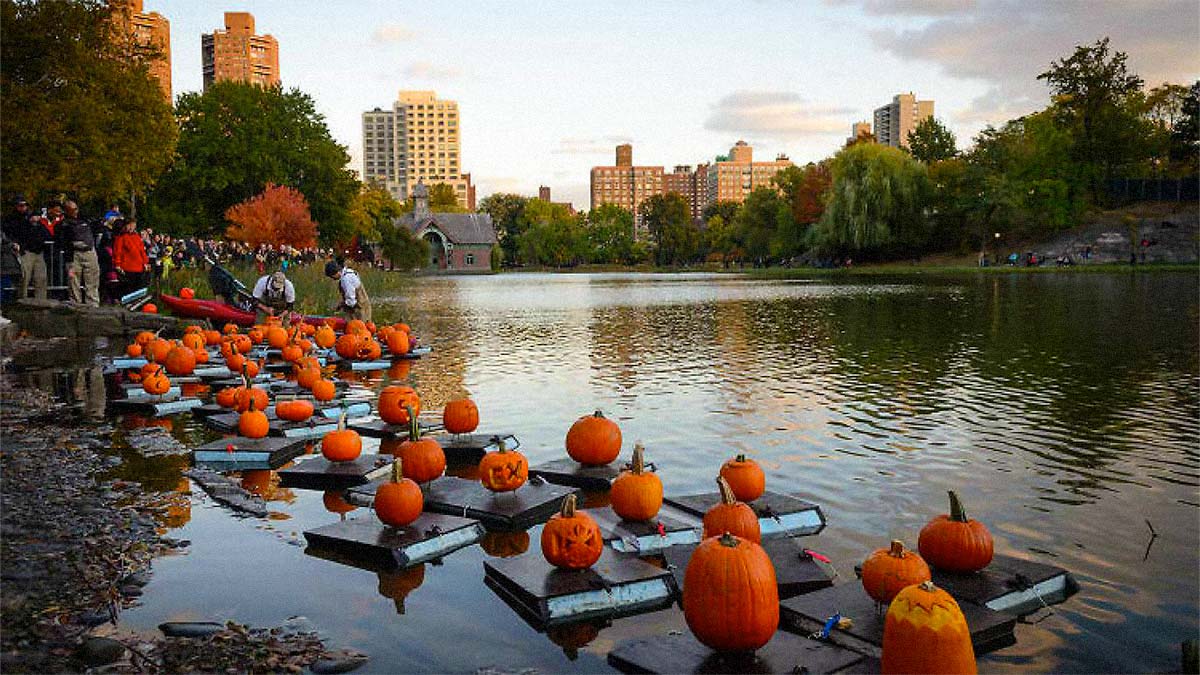 an image of a pond, and there's a Halloween pumpkin in the middle of the pond.