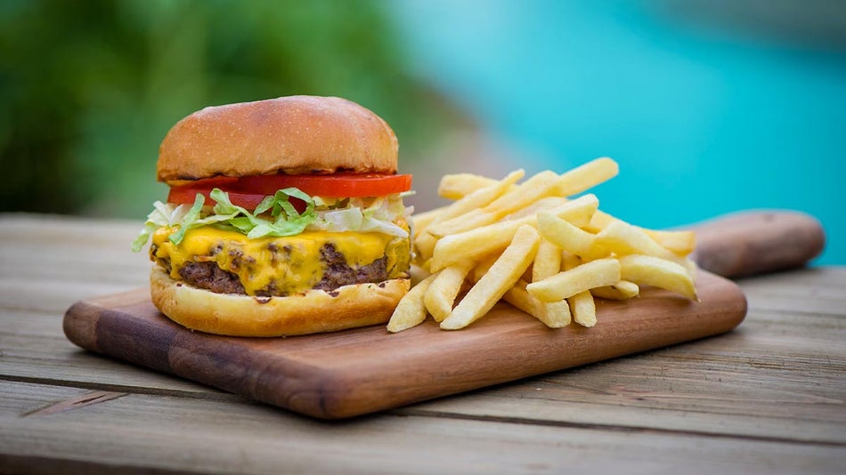 Discovery Cove Food and Drinks Everything You Need to Know