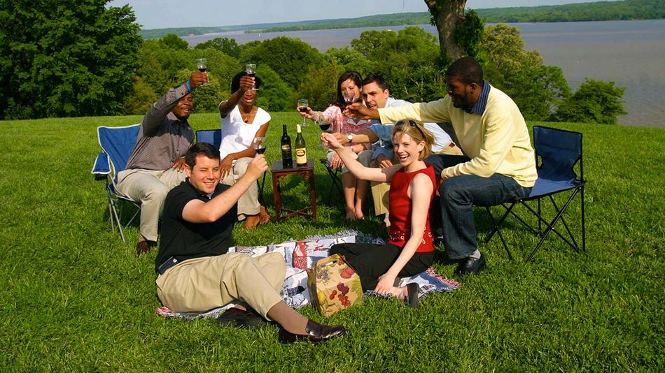 group of friends outdoors seated on grass during day raising wine glasses with body of water in background at Mount Vernon Fall Wine Festival and Sunset Tour in Washington DC, USA