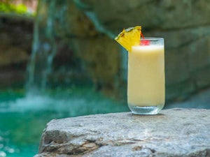 Discovery Cove Food Options and Drink Menu: Everything You Need to Know
