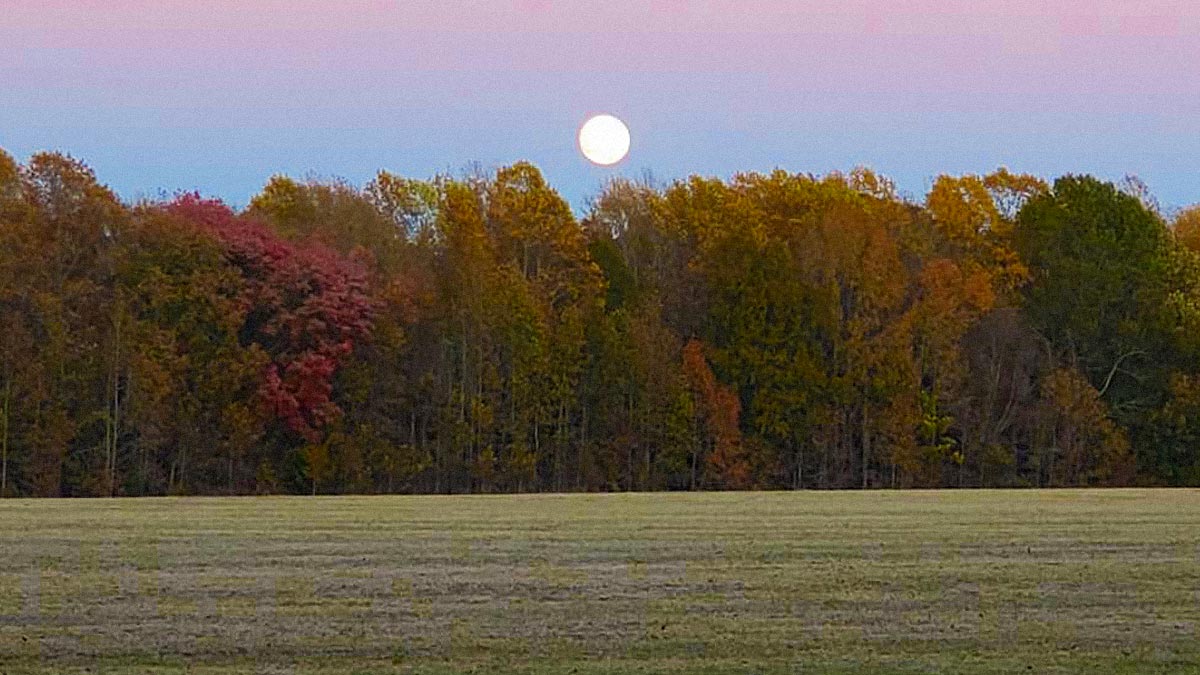 A stunning image of a vast area taken in the fall