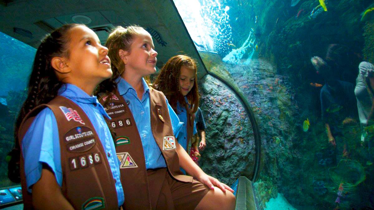 Aquarium of the Pacific: Scout Day