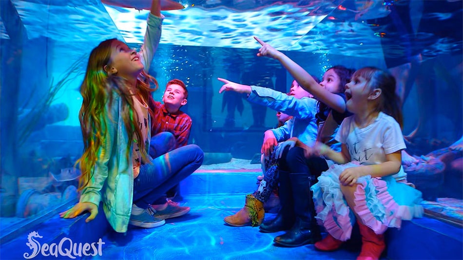 a picture of six adorable children from the Sea Quest aquarium