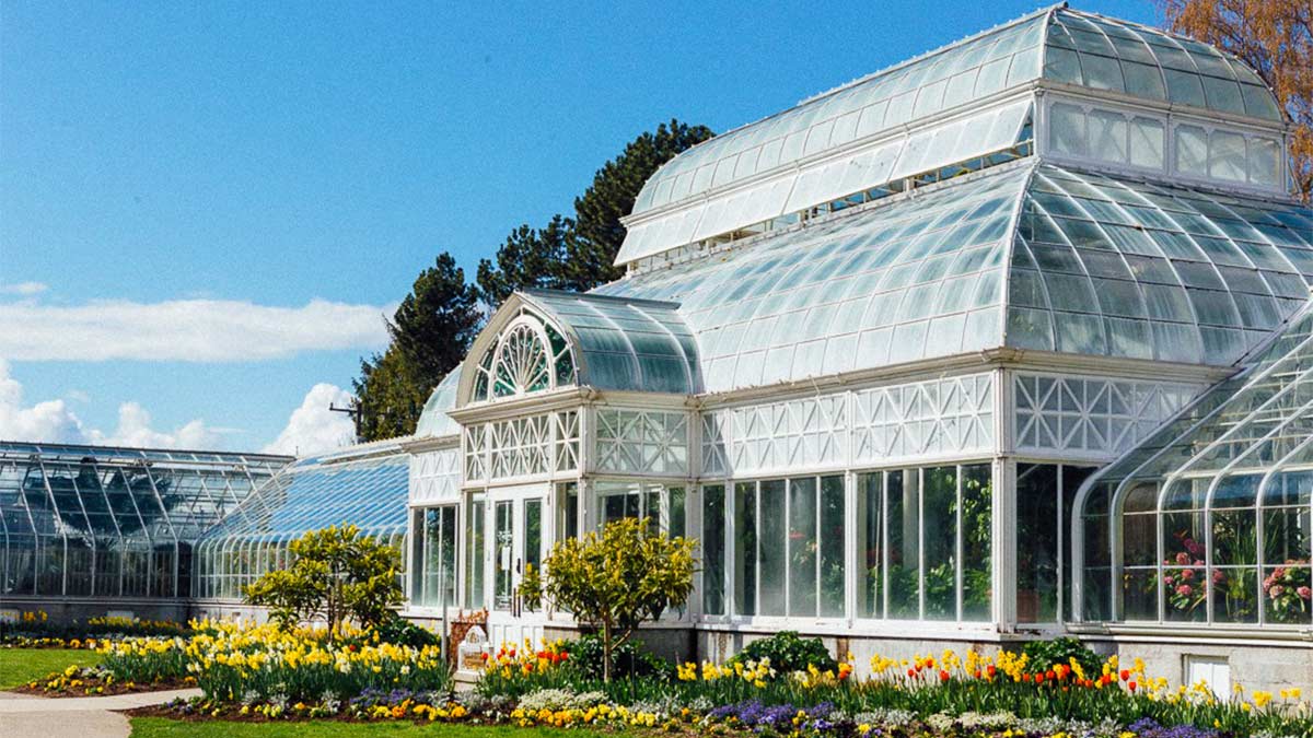 a flower-filled greenhouse