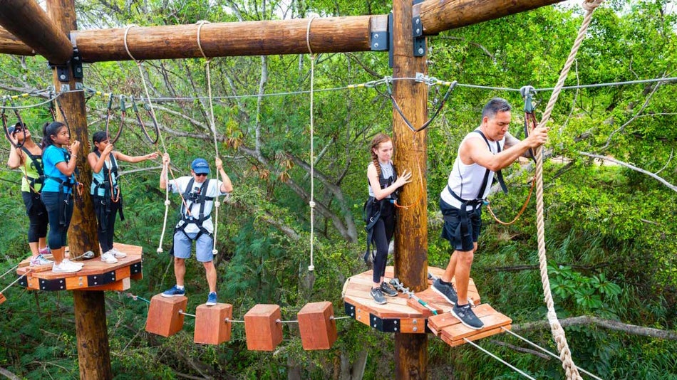 Coral Crater Adventure Park - 2023 Discount Tickets & Reviews