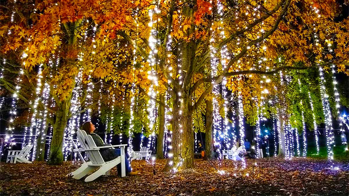 Woman sitting in a white wooden chair under a tree with fall foliage dripping in twinkle lights at night