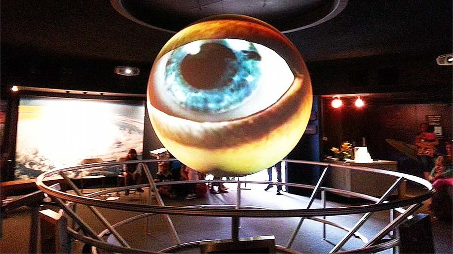 Museum Hawaii Discount Tickets, Tips, and Reviews