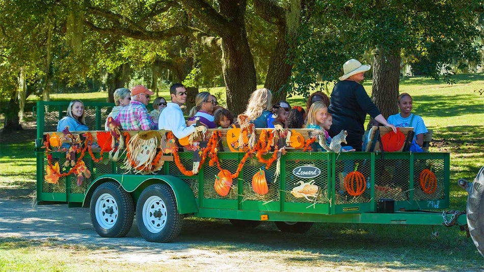 Halloween Myrtle Beach Where to Go for Spooky Fun