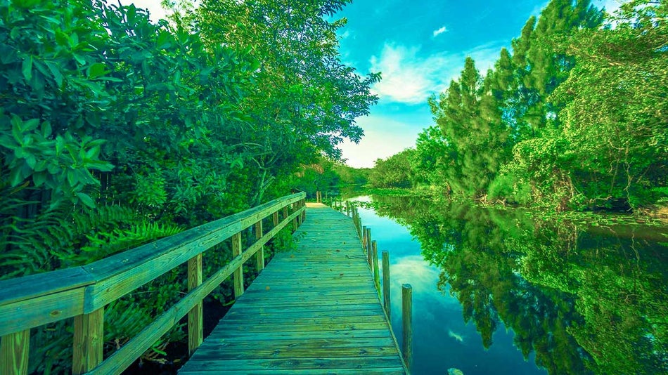 Bridge in Everglades Safari Park.