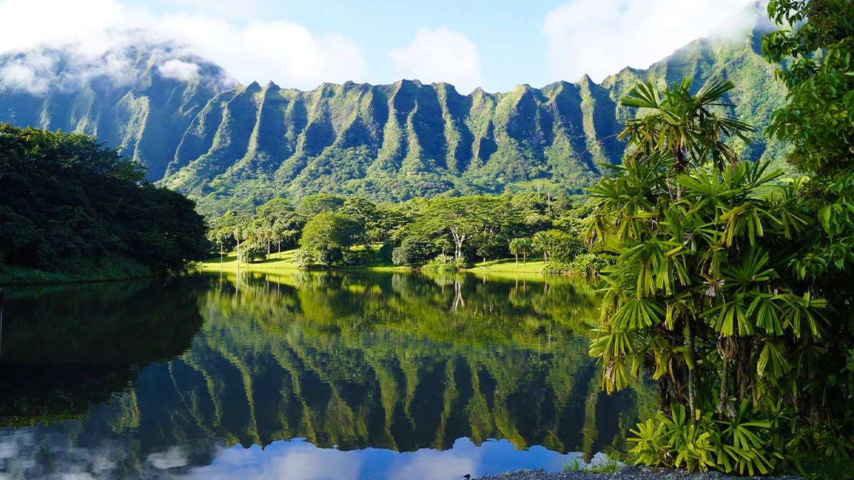 body of water surrounded by greenery with mountains in distance during day at Hoomaluhia Botanical Gardens in Oahu, Hawaii, USA