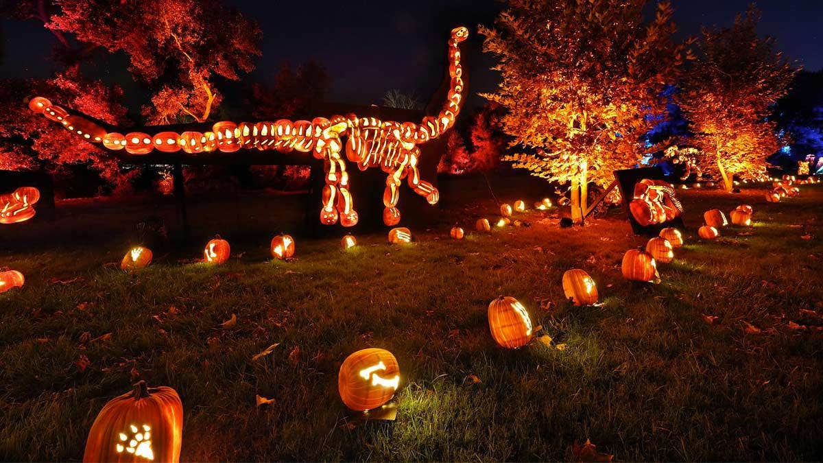 Halloween Events Los Angeles Unmatched Spooky Fun Awaits