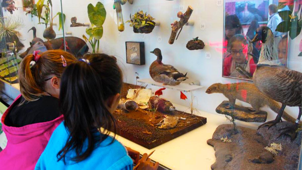 Children enjoy the exhibit at the Science Adventure Center Bishop Museum.