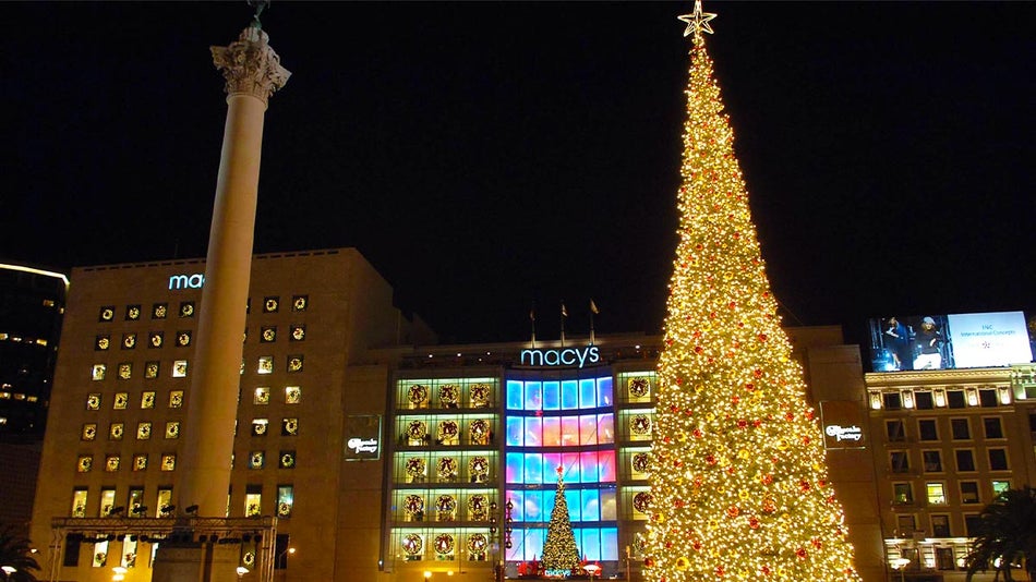 large christmas tree with building in background at night at Union Square Holiday Tree Lighting Ceremony in San Francisco, California, USA
