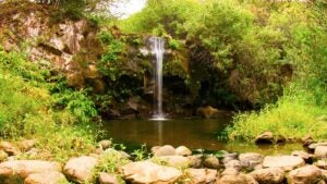 A waterfall in Hawaii
