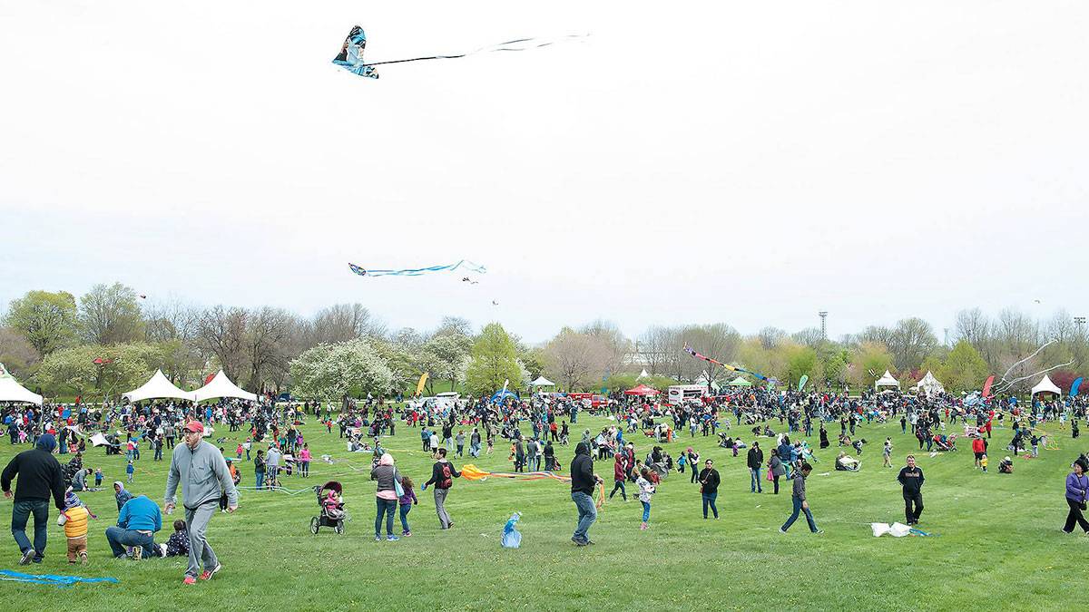 Families flying kites in the park