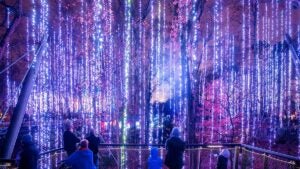 people viewing lights hanging on trees at night at Garden Lights Holiday Nights in Atlanta, Georgia, USA