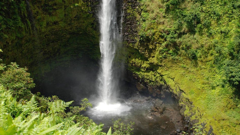 skinny waterfall pouring into a deep cavern surrounded by lush green foliage covered cliiffs