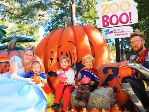 San Antonio Zoo Boo: 2023 In-Depth Guide