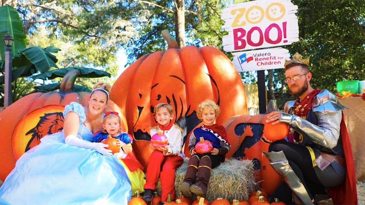 San Antonio Zoo Boo 2024 InDepth Guide