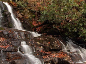An Essential Guide to Hiking Laurel Falls
