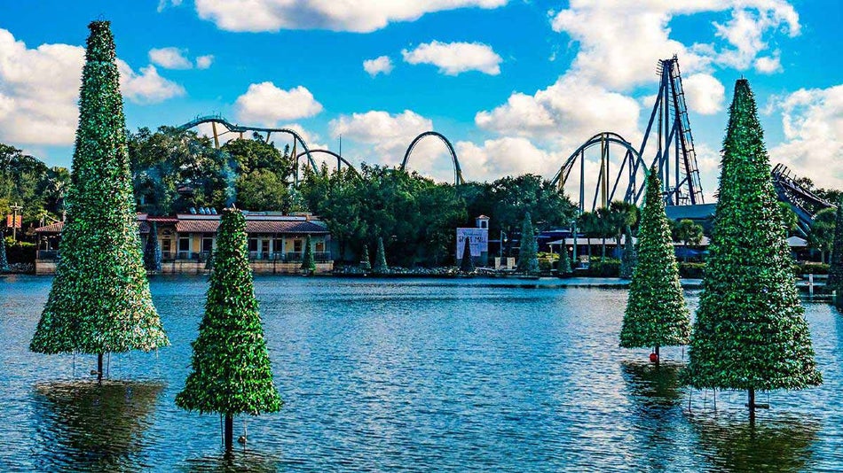 Christmas trees in the water at SeaWorld Orlando with the theme park in the background