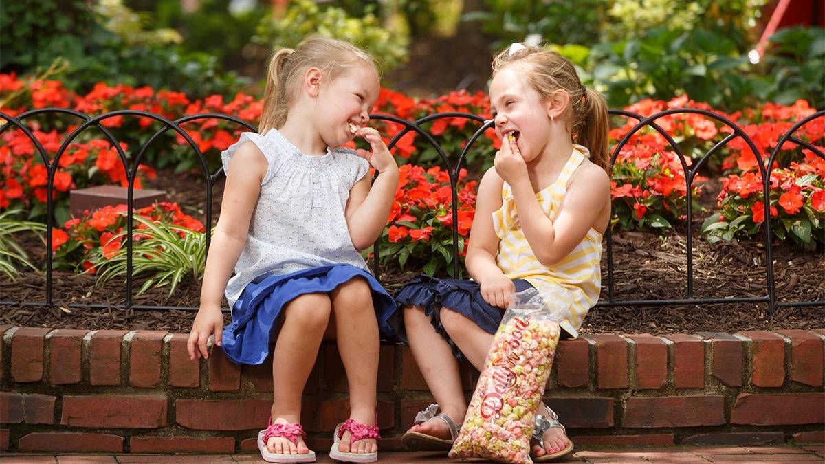 Close up of two little girls sitting near a garden at Dollywood eating popcorn on a sunny day