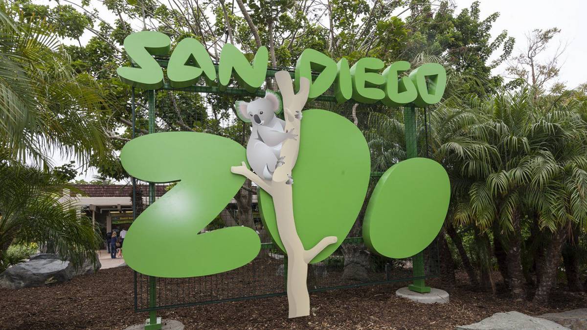 Green entrance sign to San Diego Zoo with Koala on tree branch surrounded by palm trees