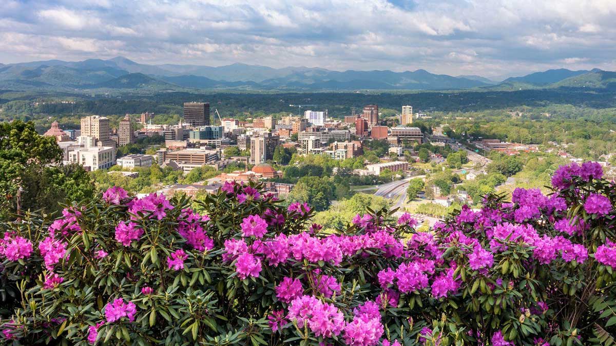 Spring time in Downtown Asheville overlooking city skyline with wild rhododendron flowers in foreground.