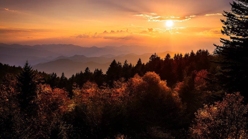 View over the trees and mountains during sunset at Richland Balsam Overlook in Asheville, North Carolina, USA
