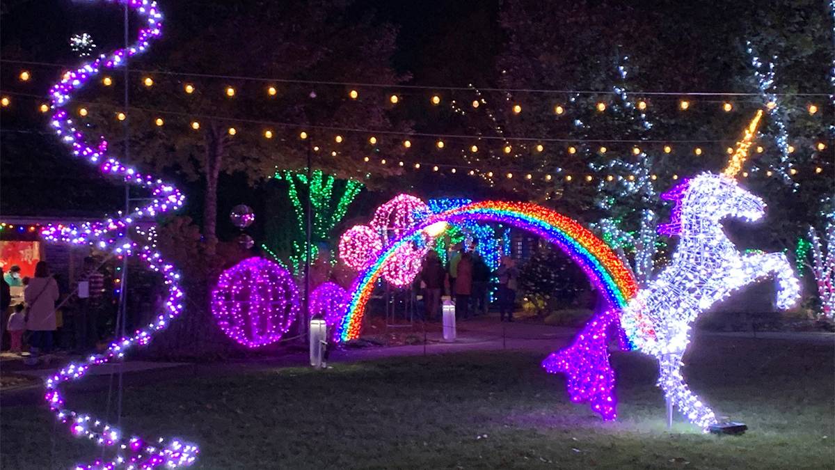 Wide shot of figures made out of Christmas lights at the North Carolina Arboretum in Asheville, North Carolina, USA