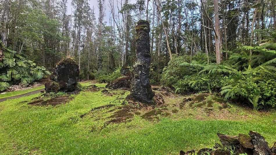 Ground view of rock statues inside a forest in Lava Tree State Monument in Big Island, Hawaii, USA