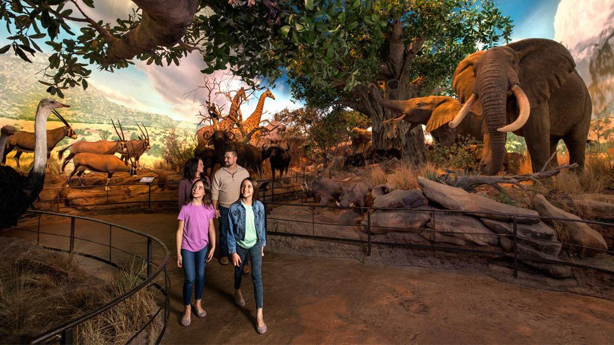 Family walking through the Great African Hall at the Wonders of Wildlife near Branson, Missouri, USA