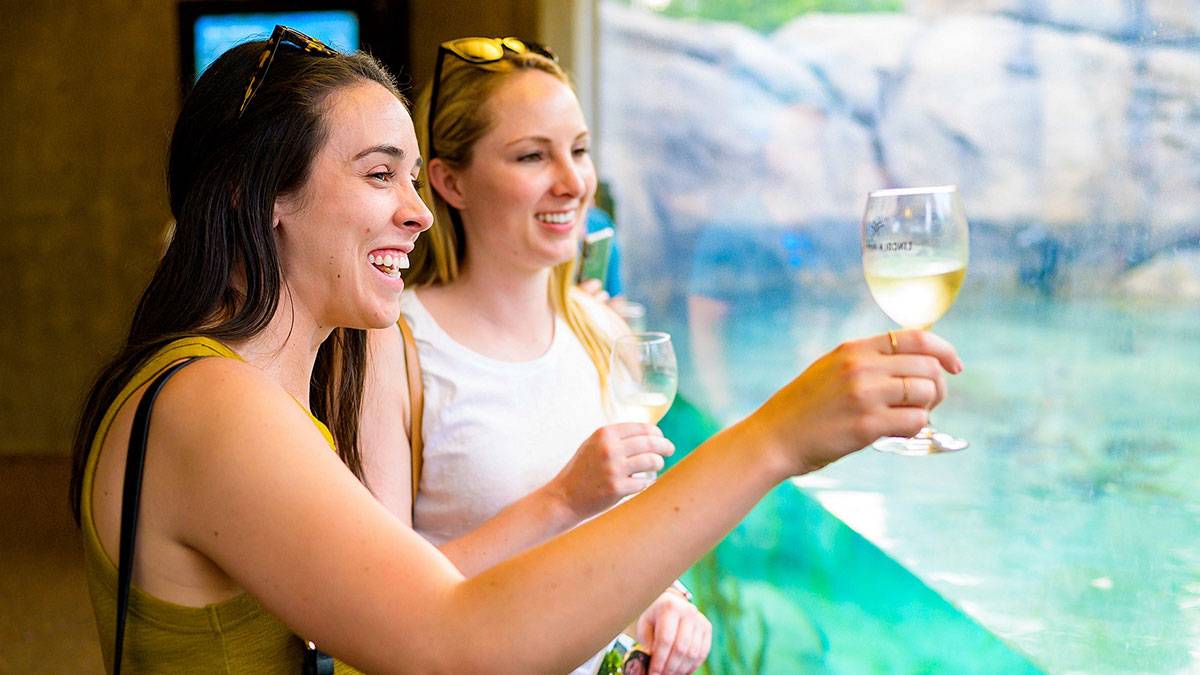 Guests with white wine staring at an aquarium at the Lincoln Park Zoo