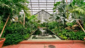 inside of the garfield park conservatory in Chicago, Illinois, USA