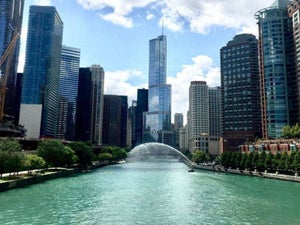 6 Unique Chicago Tours for the Curious Traveler