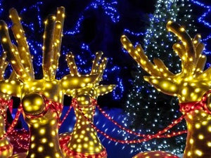 Christmas Lights Branson MO: A Magical Guide to the Season