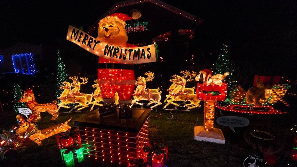 christmas lights with santa, reindeer, small dogs, snoopy all in a front yard at night