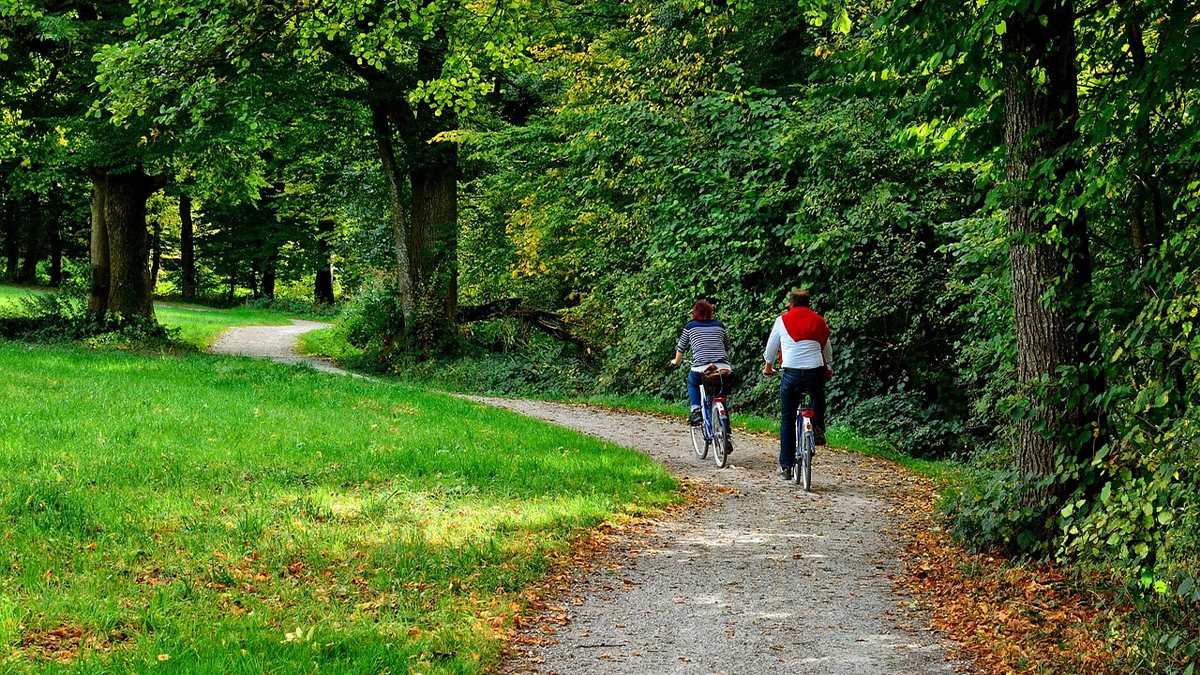 Two people biking outdoors along trail in forest