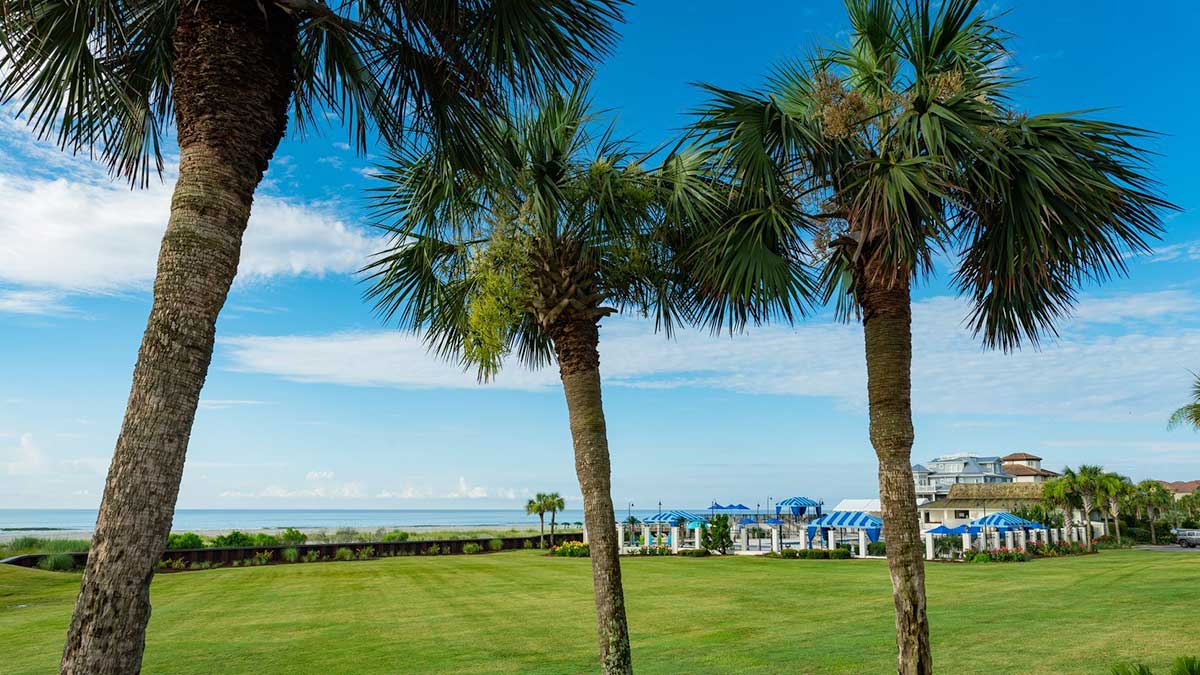 Ground view of palm trees along golf course with ocean in the background at Dunes Golf and Beach Club in Myrtle Beach, South Carolina, USA
