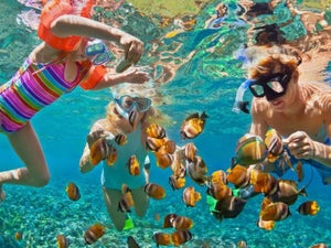 Snorkel Tours Kauai: 3 of the Best Adventures