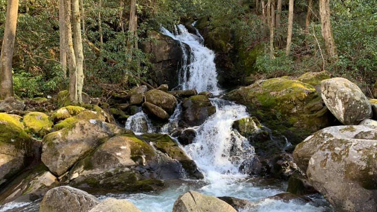 Mouse Creek Falls in The Great Smoky Mountains