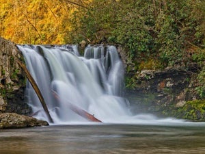 Abrams Falls Hiking Guide: Everything You Need To Know