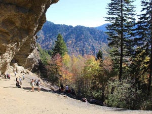 How to Conquer the Alum Cave to Mt. LeConte Trail