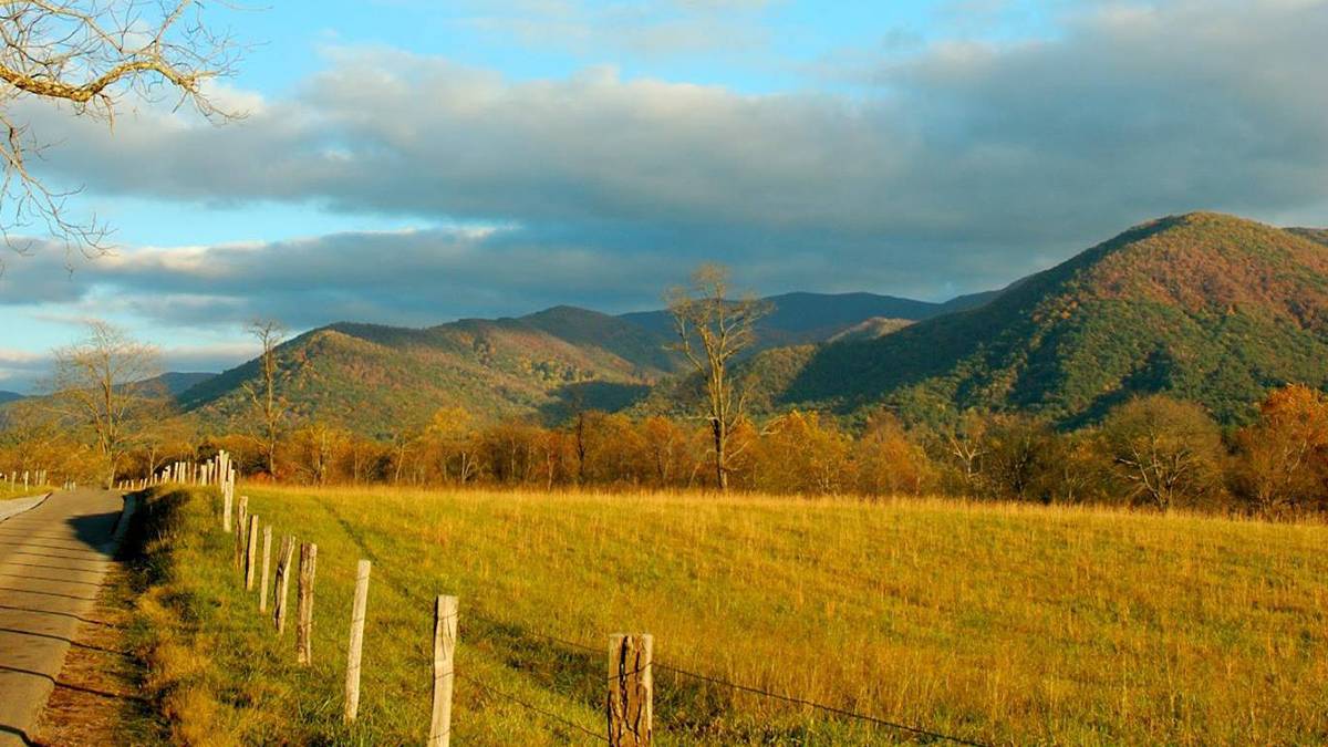 Road view of Cades Cove at Smoky Mountains in fall foliage